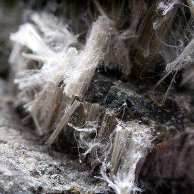 Asbestos asbestos