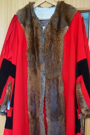 Mayor's robe