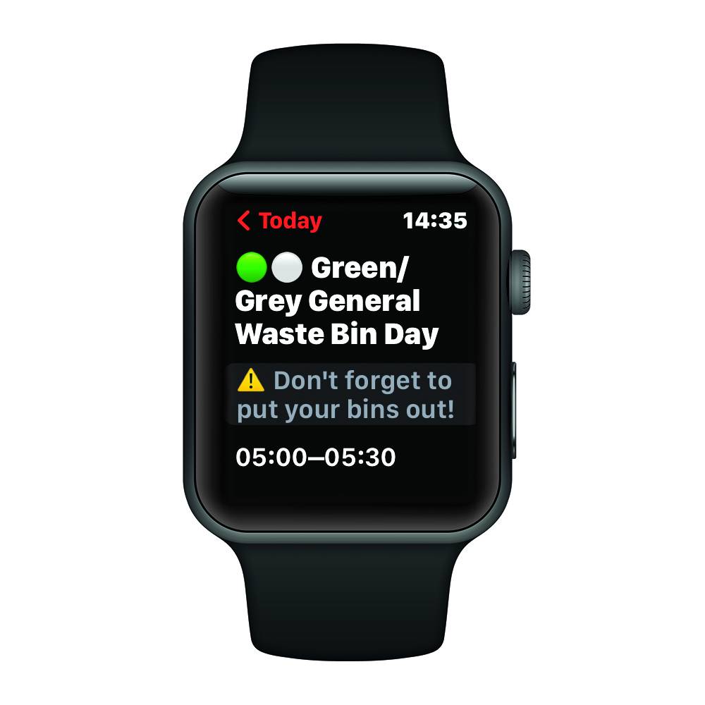 Ecal watch