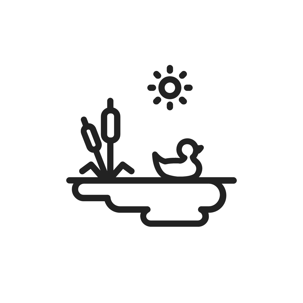 Pond icon