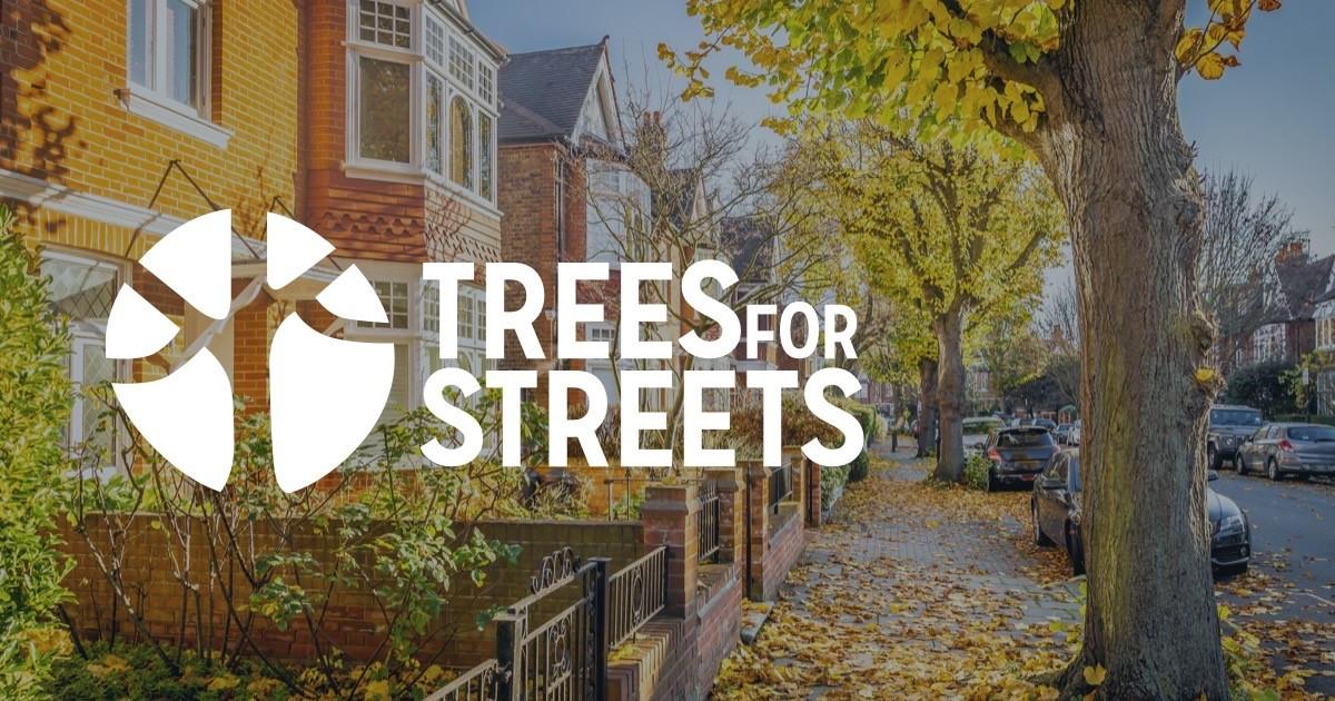 Trees for streets