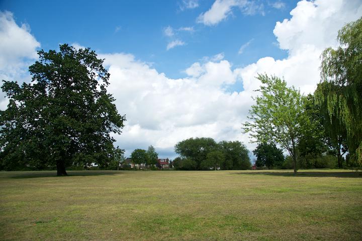 Alexandra park